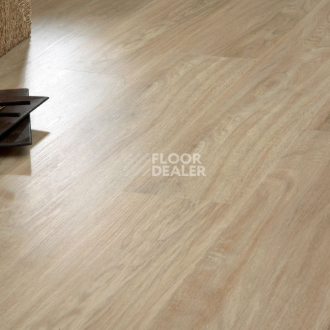IVC Primero (DryBack) IVC Primero  24234Q фото 8 | FLOORDEALER